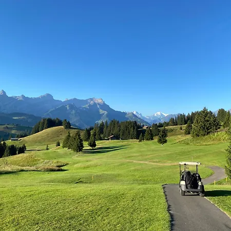 In Sur Ollon, Emeraude, For 3 Only 100m To Bretaye Train *