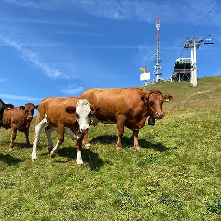 Lejlighed In Sur Ollon, Emeraude, For 3 Only 100m To Bretaye Train Villars-sur-Ollon