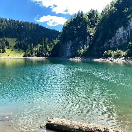 In Sur Ollon, Emeraude, For 3 Only 100m To Bretaye Train *