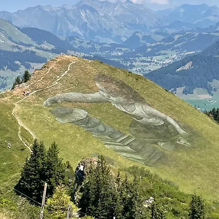 Appartement In Sur Ollon, Emeraude, For 3 Only 100m To Bretaye Train