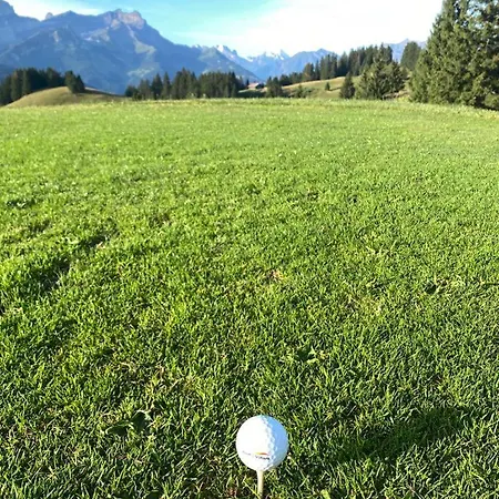 In Sur Ollon, Emeraude, For 3 Only 100m To Bretaye Train