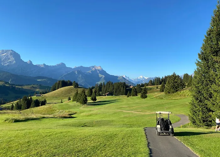 In Sur Ollon, Emeraude, For 3 Only 100m To Bretaye Train *