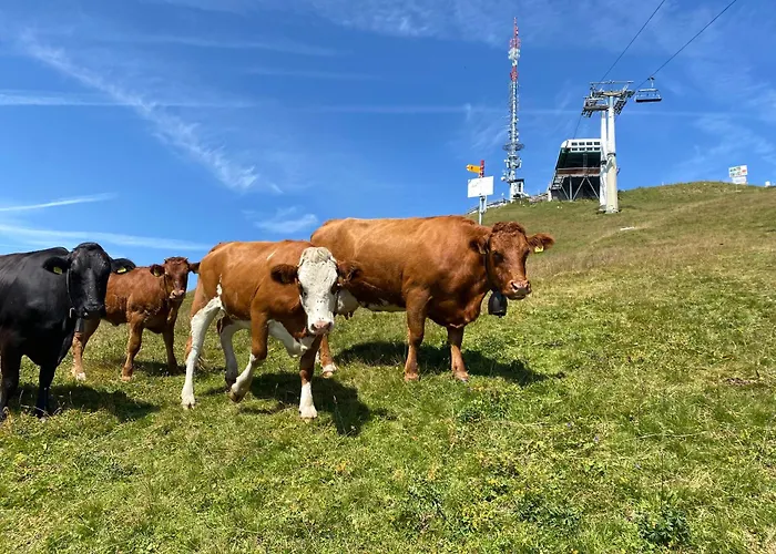 דירה In Sur Ollon, Emeraude, For 3 Only 100m To Bretaye Train וילארס-סור-אולון