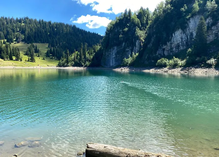 In Sur Ollon, Emeraude, For 3 Only 100m To Bretaye Train *