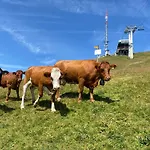 דירה In Sur Ollon, Emeraude, For 3 Only 100m To Bretaye Train וילארס-סור-אולון