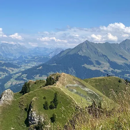 Apartment In Sur Ollon, Emeraude, For 3 Only 100m To Bretaye Train Villars-sur-Ollon